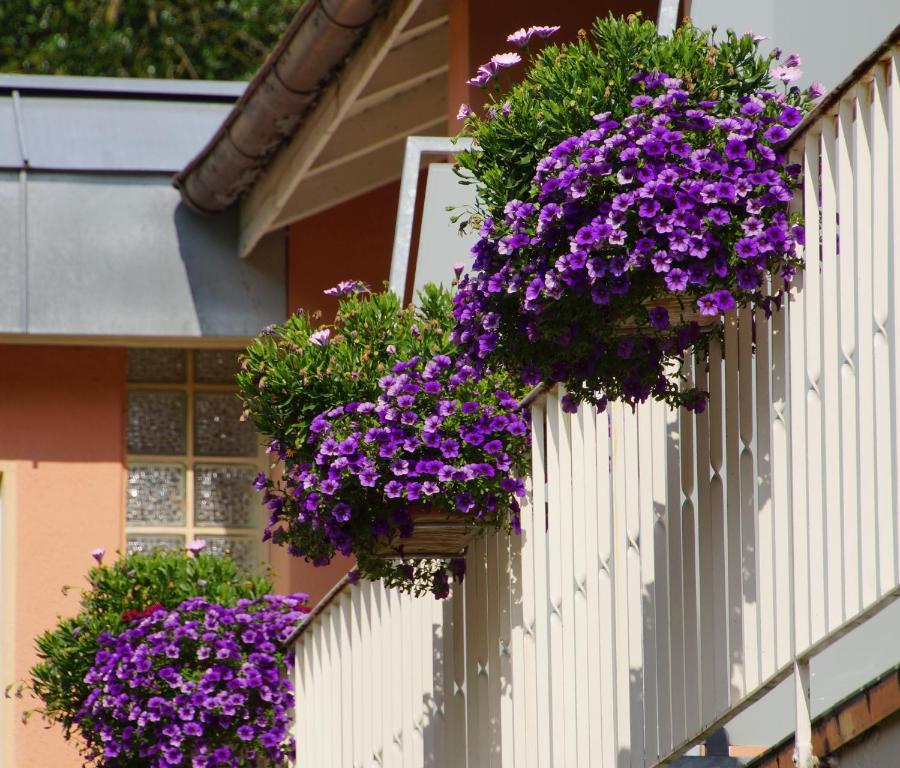 Hotel Morgensonne Badenweiler Exterior foto